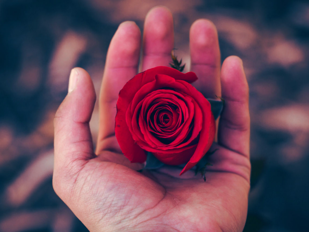 Најповолни периоди за љубов во 2019-та година за секој хороскопски знак