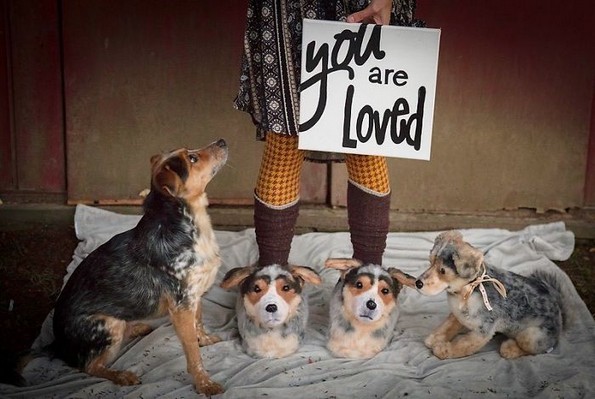 Компанија прави домашни влечки кои изгледаат како миленичињата на купувачите