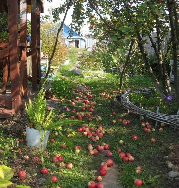 20 неверојатни фотографии кои докажуваат дека светот е секогаш полн со чуда