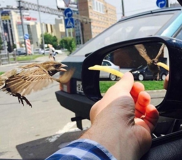 20 неверојатни фотографии кои докажуваат дека светот е секогаш полн со чуда