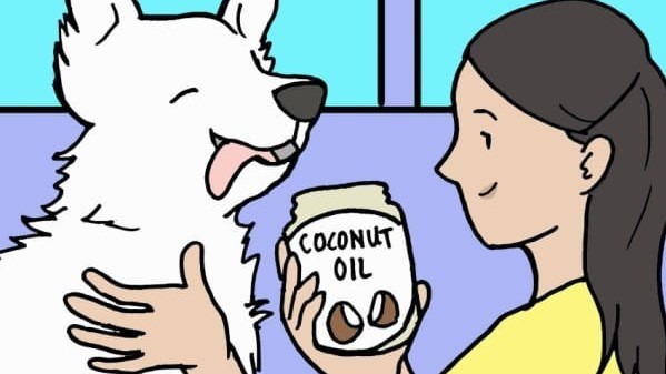 Како да се ослободите од болвите на вашето куче?