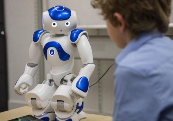 10 социјални и биолошки експерименти со навистина интересни резултати