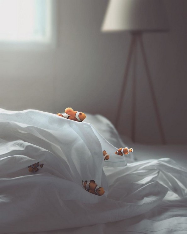 Надреални фотоманипулации што ја тестираат логиката