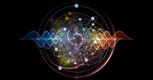 10 социјални и биолошки експерименти со навистина интересни резултати