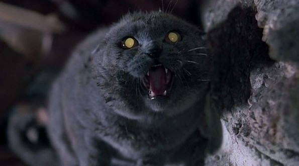 12 филмски премиери во 2019-та година што не сакате да ги пропуштите