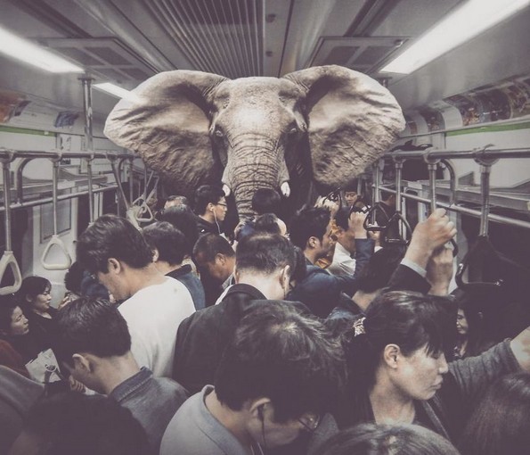 Надреални фотоманипулации што ја тестираат логиката