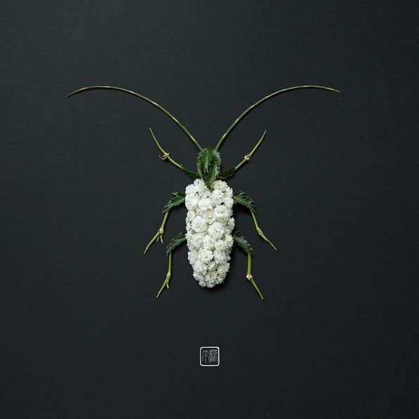 Портрети од животни направени со цветни аранжмани