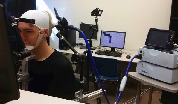 10 социјални и биолошки експерименти со навистина интересни резултати