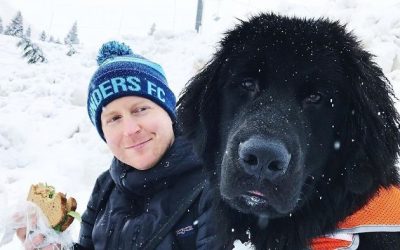 Фотографии што покажуваат колку всушност се големи кучињата њуфаундленд