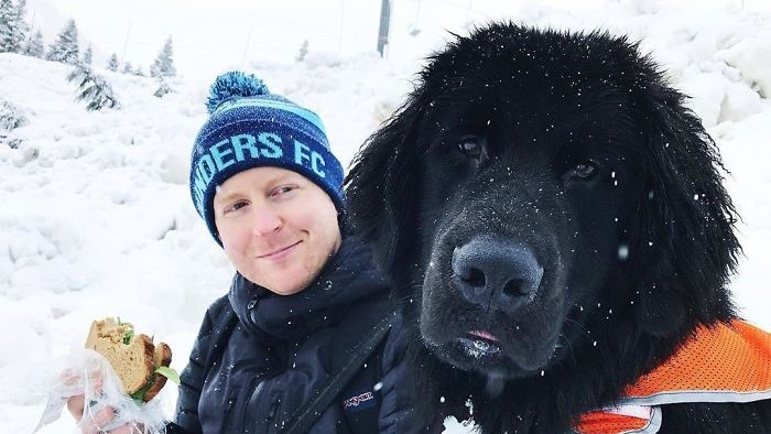 Фотографии што покажуваат колку всушност се големи кучињата њуфаундленд