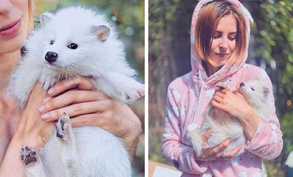 Фотографка од Москва живее во шума со 100 кучиња