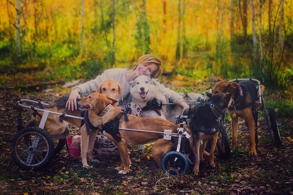 Фотографка од Москва живее во шума со 100 кучиња