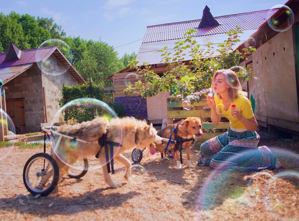 Фотографка од Москва живее во шума со 100 кучиња