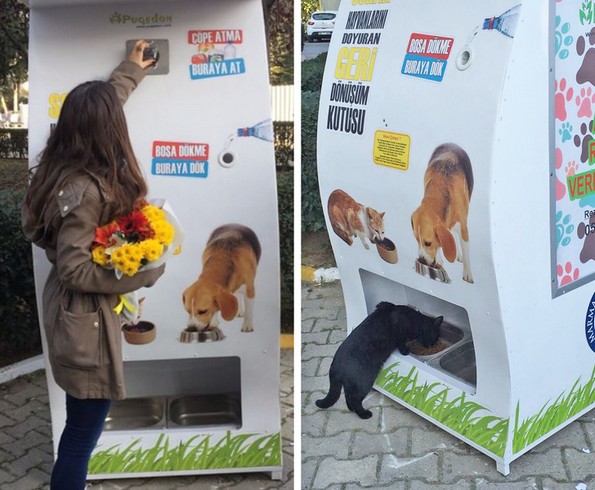 22 факти што ќе ви го разубават денот