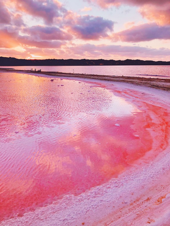 Магични фотографии од розовата лагуна во западна Австралија