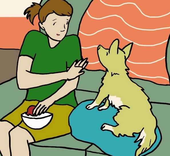 Зошто кучињата не смеат да јадат калинки?
