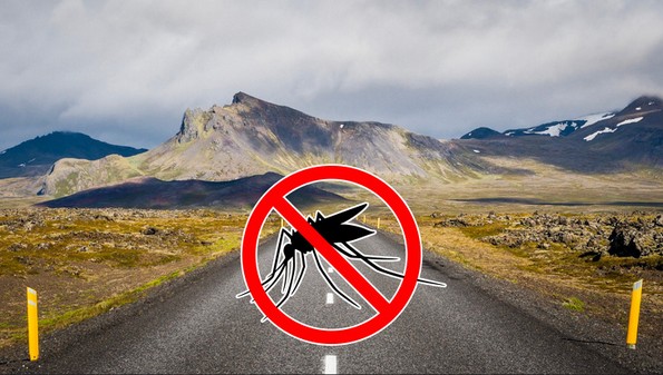 22 факти што ќе ви го разубават денот