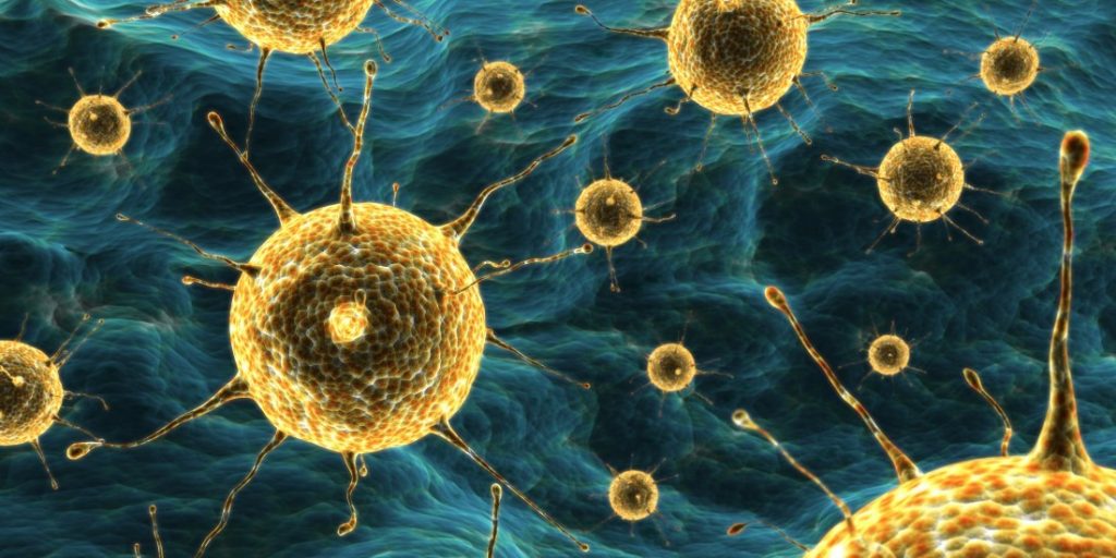 6-те видови рак кои сè почесто се појавуваат кај луѓе на возраст од 25 до 45 години