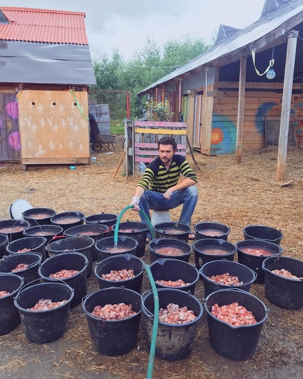 Фотографка од Москва живее во шума со 100 кучиња