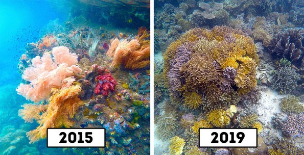 11 туристички атракции кои повеќе не постојат бидејќи се уништени од луѓето