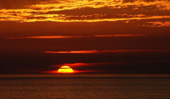 13 чудни даноци од разни држави за кои веројатно немате слушнато