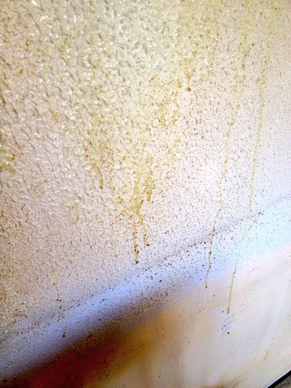 Фотографиите од станови на пушачи се подобри од која било антипушачка кампања