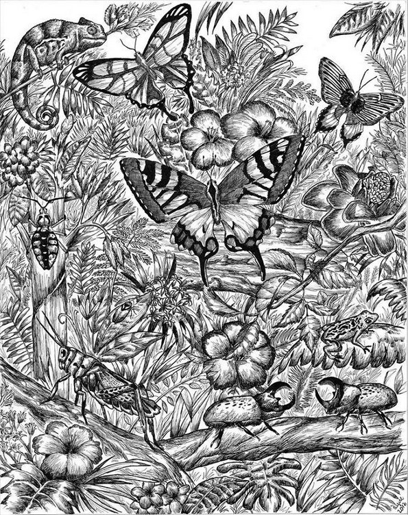 Чудо од дете од Србија го восхитува светот со неговите цртежи