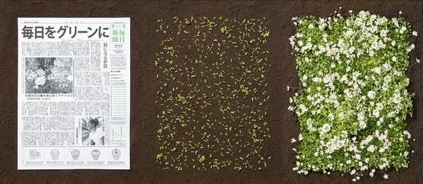 8 иновативни начини на кои државите се обидуваат да го намалат отпадот