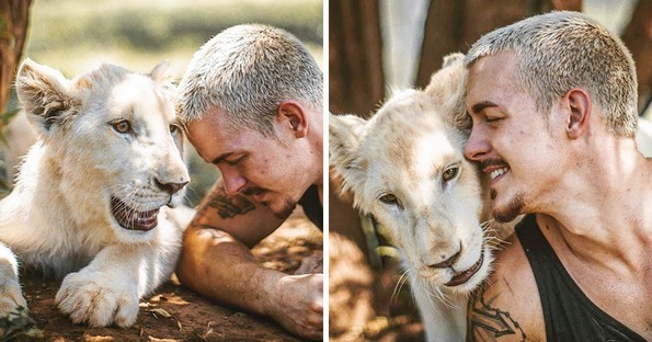 Маж од Швајцарија се откажал од кариерата за да ги спаси дивите животни во Африка