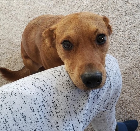 Слатки фотографии од животни за убав почеток на денот