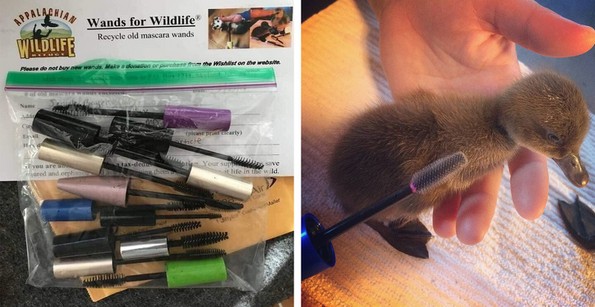 8 иновативни начини на кои државите се обидуваат да го намалат отпадот