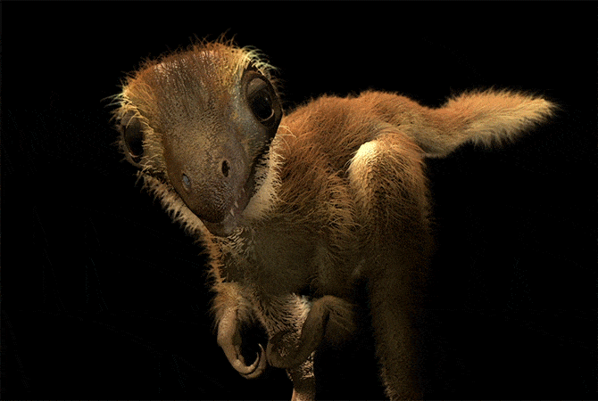 Малечките тираносауруси биле слатки „крзнени“ суштества