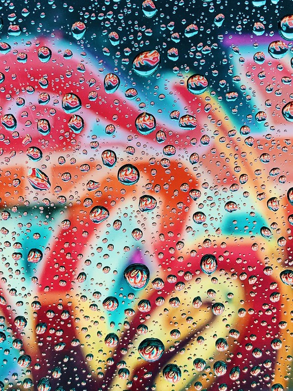 Објавени 10-те најдобри фотографии од изминативе 6 месеци направени со Ајфон