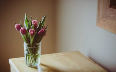 7 совети со кои лалињата во вазна ќе издржат и до 10 дена