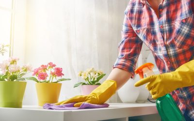 Како да го одржите домот чист во текот на пролетта?