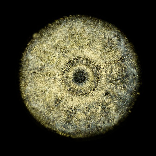 Научник фотографира звучни бранови, а резултатот изгледа нереално