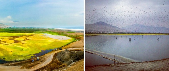 Научник од Перу открил генијален начин за прочистување на езерата