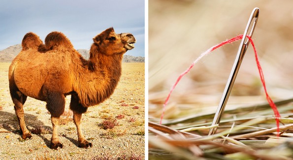 6 грешки во преводот што направиле голема разлика