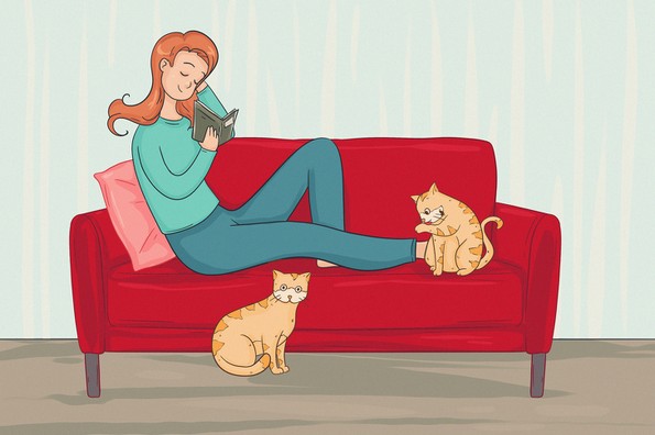 29 факти што докажуваат колку се неверојатни мачките