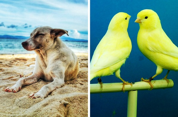 6 грешки во преводот што направиле голема разлика