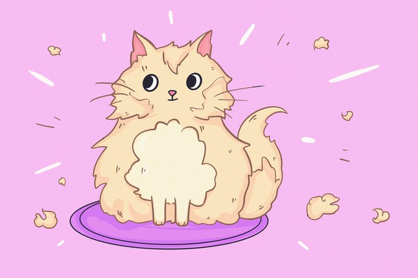 29 факти што докажуваат колку се неверојатни мачките