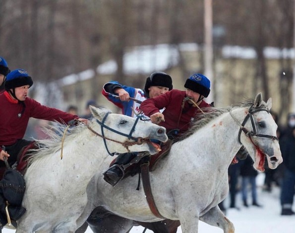 9 видови забава во коишто љубителите на животни не би требало да бидат вклучени
