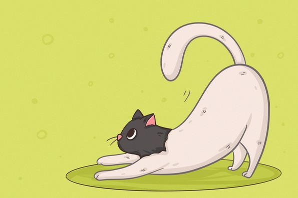 29 факти што докажуваат колку се неверојатни мачките