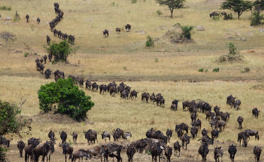 10 прашања на кои научниците сè уште немаат одговор