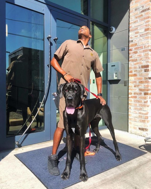 Возач од UPS се фотографира со секое куче што го сретнува на работа