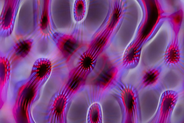 Научник фотографира звучни бранови, а резултатот изгледа нереално