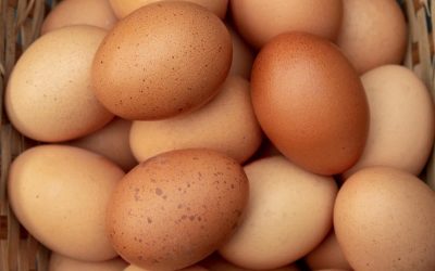 Како да ги препознаете свежите јајца и колку е нивниот рок на траење?