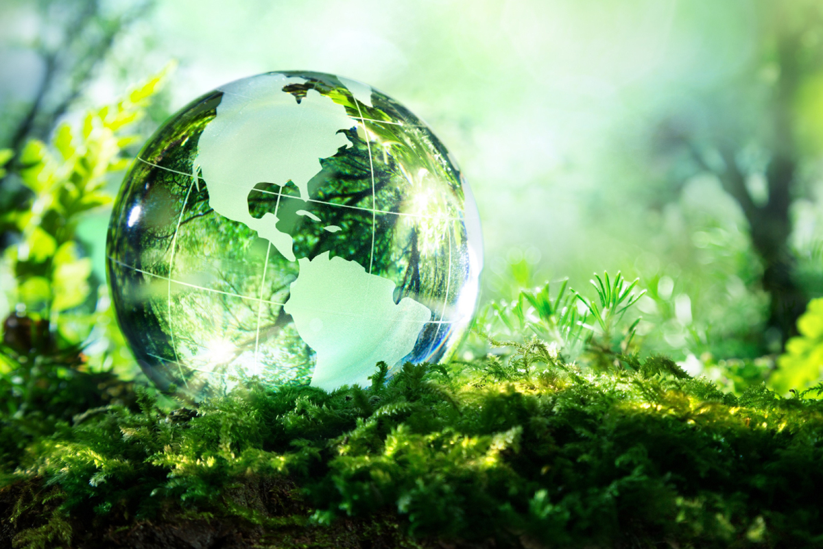 Како да станете еколошки свесна личност?