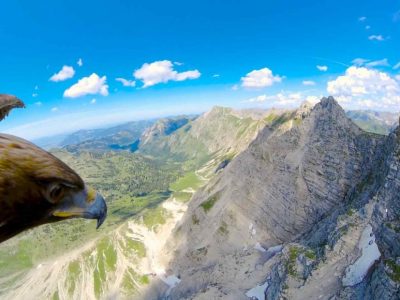 Поглед кон Алпите од птичја перспектива