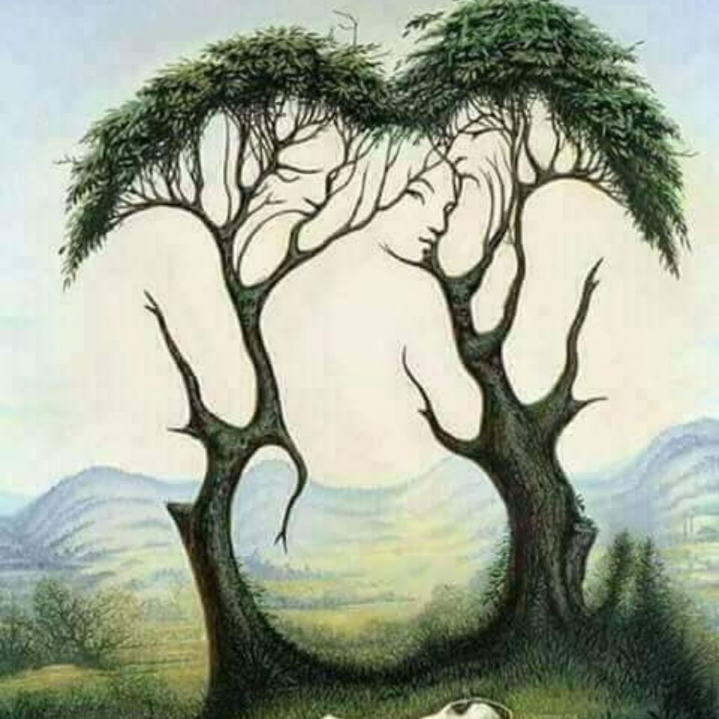 Тест на личноста: Што прво забележавте на сликата?